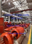 Thăm quan NSX Động cơ