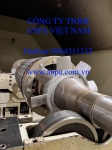 Động cơ Xiangtan, Shanghai Electric Rotor